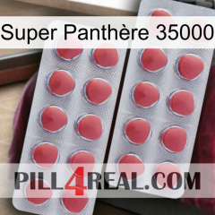Super Panthère 35000 19